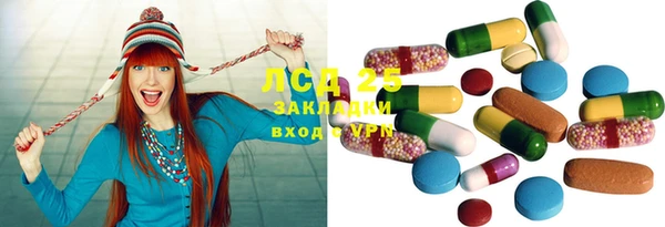 гашик Богданович