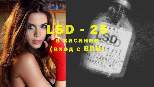 гашик Богданович