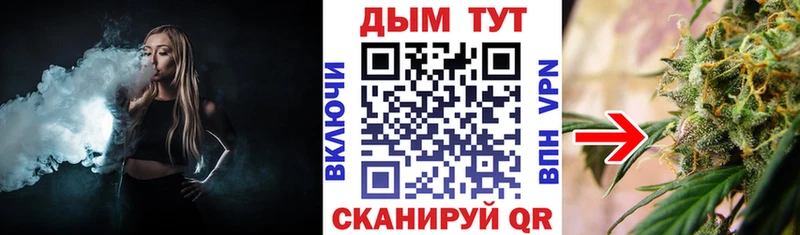 Бошки Шишки планчик Видное